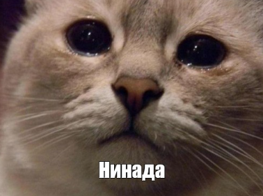 Штрафы